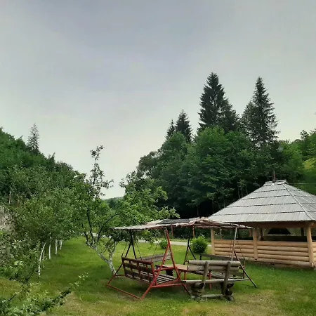 Demmir ترافنيك