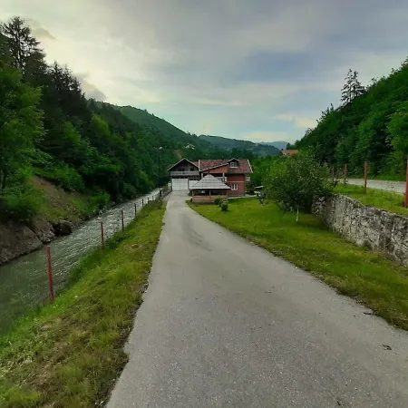 فيلة Demmir ترافنيك